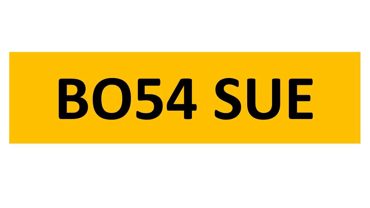 Lot 48 - REGISTRATION ON RETENTION - BO54 SUE
