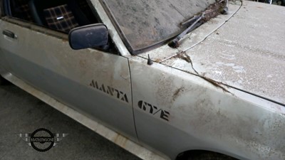 Lot 250 - 1984 MANTA GTE