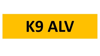 Lot 82-4 - REGISTRATION ON RETENTION - K9 ALV