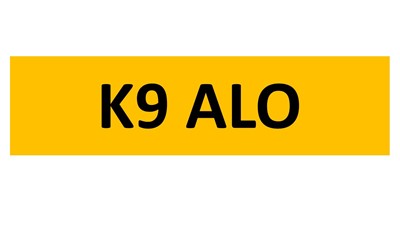 Lot 45-5 - REGISTRATION ON RETENTION - K9 ALO