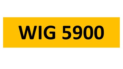 Lot 59-5 - REGISTRATION ON RETENTION - WIG 5900