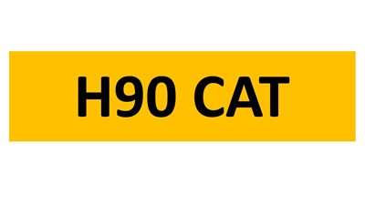 Lot 47-5 - REGISTRATION ON RETENTION - H90 CAT