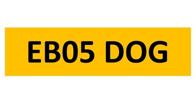 Lot 5-6 - REGISTRATION ON RETENTION - EB05 DOG