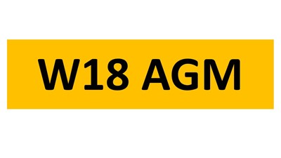 Lot 32-6 - REGISTRATION ON RETENTION - W18 AGM