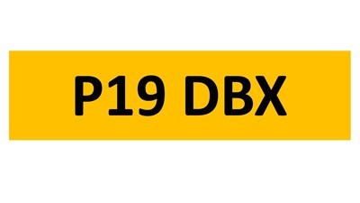 Lot 86-6 - REGISTRATION ON RETENTION - P19 DBX