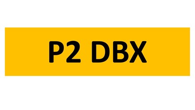 Lot 88-6 - REGISTRATION ON RETENTION - P2 DBX