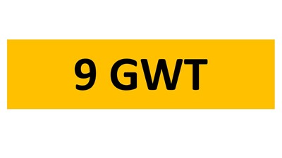 Lot 6-7 - REGISTRATION ON RETENTION - 9 GWT
