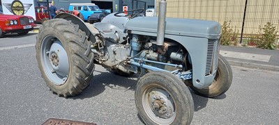 Lot 172 - 1955 MORRIS MINOR