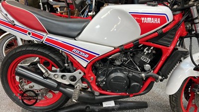Lot 600 - 1983 YAMAHA