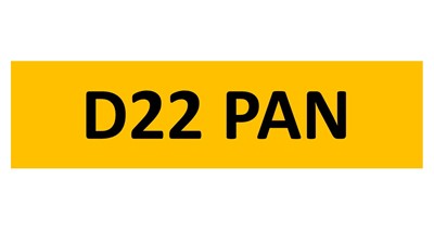 Lot 74-7 - REGISTRATION ON RETENTION - D22 PAN