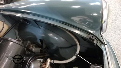 Lot 113 - 1954 MORRIS MINOR