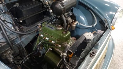 Lot 113 - 1954 MORRIS MINOR