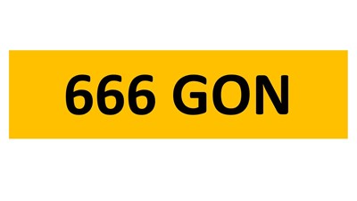 Lot 15-9 - REGISTRATION ON RETENTION - 666 GON