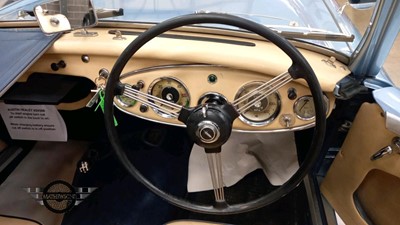 Lot 69 - 1956 AUSTIN HEALEY 100/6