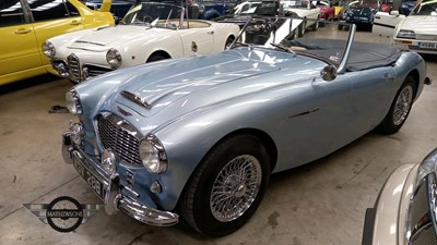 Lot 69 - 1956 AUSTIN HEALEY 100/6