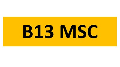 Lot 5-10 - REGISTRATION ON RETENTION - B13 MSC