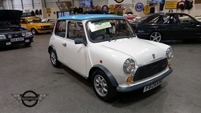 Lot 593 - 1989 AUSTIN MINI SKY ROSE