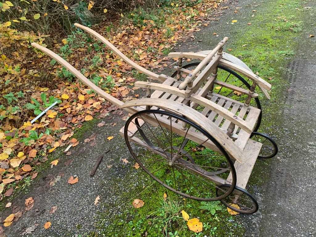 Lot 324 - VICTORIAN DOUBLE CHILDS CART