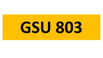 Lot 85-11 - REGISTRATION ON RETENTION - GSU 803