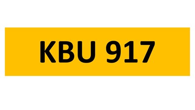 Lot 110-11 - REGISTRATION ON RETENTION - KBU 917