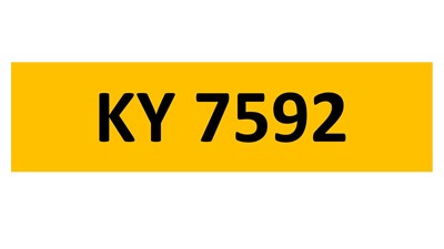 Lot 117-11 - REGISTRATION ON RETENTION - KY 7592