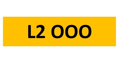 Lot 119-11 - REGISTRATION ON RETENTION - L2 OOO