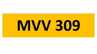 Lot 139-11 - REGISTRATION ON RETENTION - MVV 309