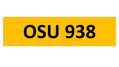 Lot 151-11 - REGISTRATION ON RETENTION - OSU 938