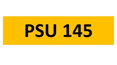 Lot 161-11 - REGISTRATION ON RETENTION - PSU 145