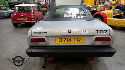 Lot 262 - 1981 TRIUMPH TR7 CONVERTIBLE