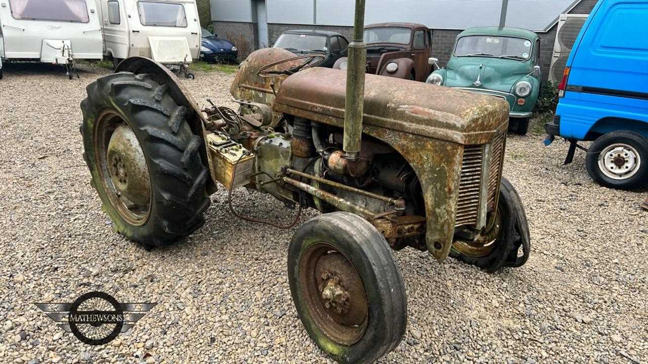 Lot 258 - 1953 FERGUSON TEF