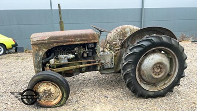 Lot 258 - 1953 FERGUSON TEF