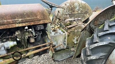 Lot 258 - 1953 FERGUSON TEF