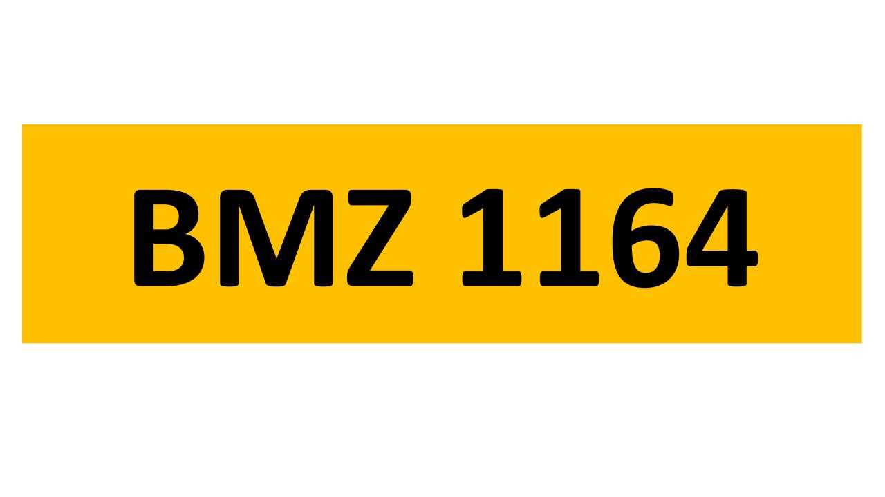 Lot 30 - REGISTRATION ON RETENTION - BMZ 1164