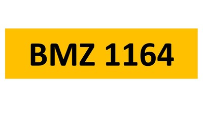 Lot 30-13 - REGISTRATION ON RETENTION - BMZ 1164