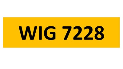 Lot 84-13 - REGISTRATION ON RETENTION - WIG 7228
