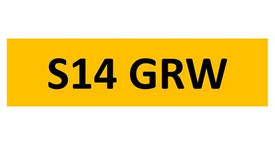 Lot 99-13 - REGISTRATION ON RETENTION - S14 GRW