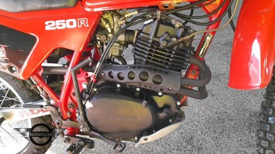 Lot 315 - 1982 HONDA XL250R