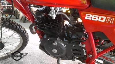 Lot 315 - 1982 HONDA XL250R