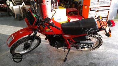 Lot 315 - 1982 HONDA XL250R