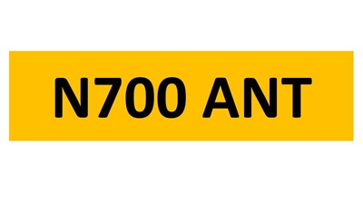 Lot 129-13 - REGISTRATION ON RETENTION - N700 ANT