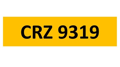 Lot 142-13 - REGISTRATION ON RETENTION - CRZ 9319