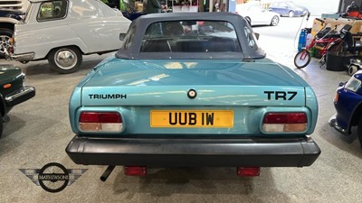 Lot 204 - 1981 TRIUMPH TR7 CONVERTIBLE