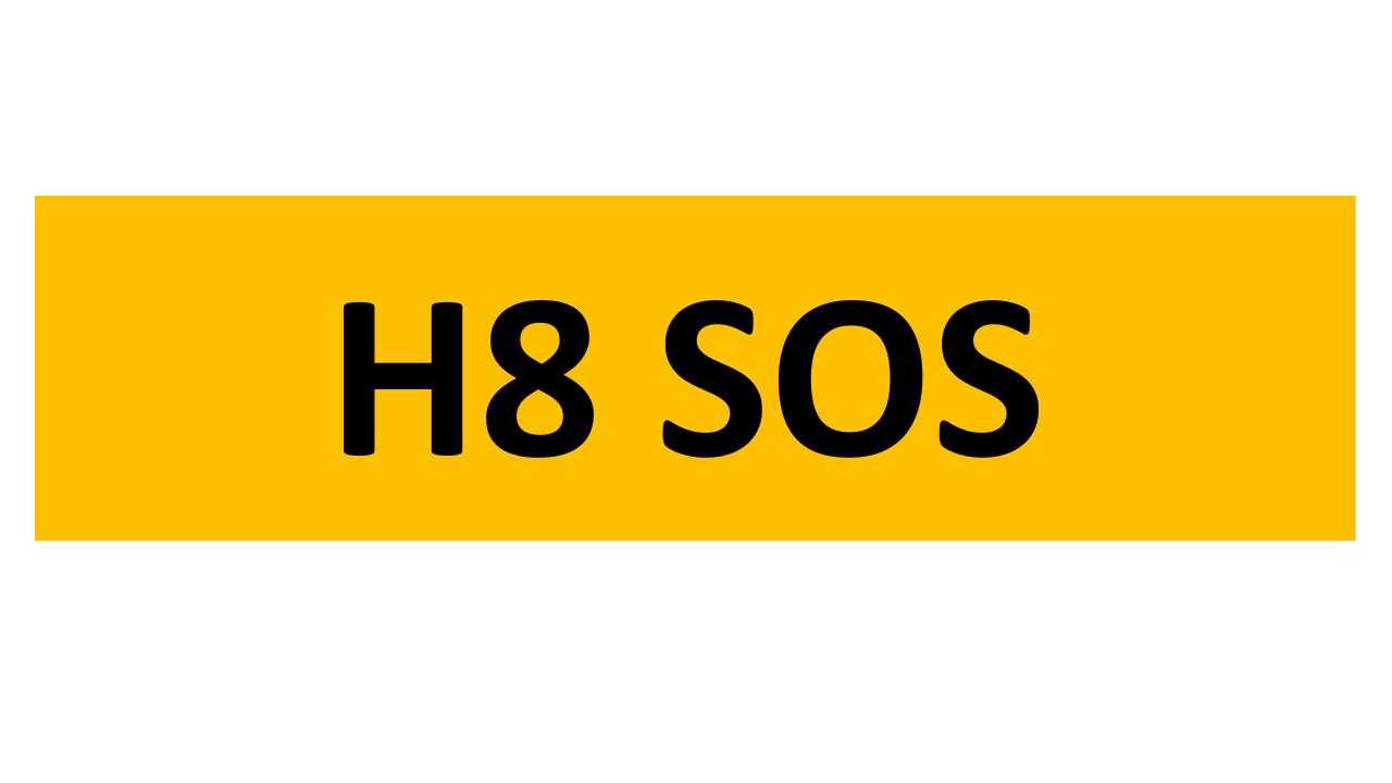 Lot 21 - REGISTRATION ON RETENTION - H8 SOS