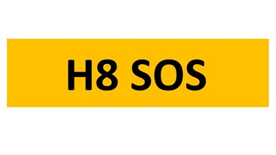 Lot 21-14 - REGISTRATION ON RETENTION - H8 SOS