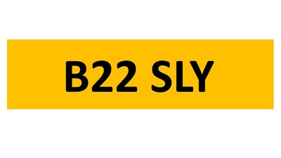 Lot 110-14 - REGISTRATION ON RETENTION - B22 SLY