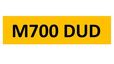 Lot 142-14 - REGISTRATION ON RETENTION - M700 DUD