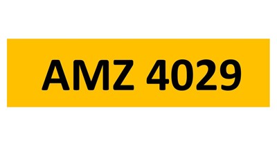 Lot 160-14 - REGISTRATION ON RETENTION - AMZ 4029