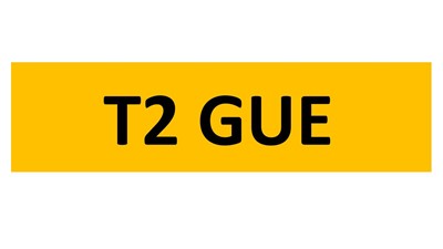 Lot 9-15 - REGISTRATION ON RETENTION - T2 GUE