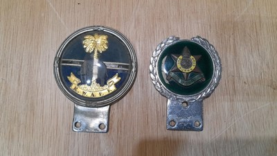 Lot 833 - THE BURMA STAR & RARE R.W.A.F. BADGES